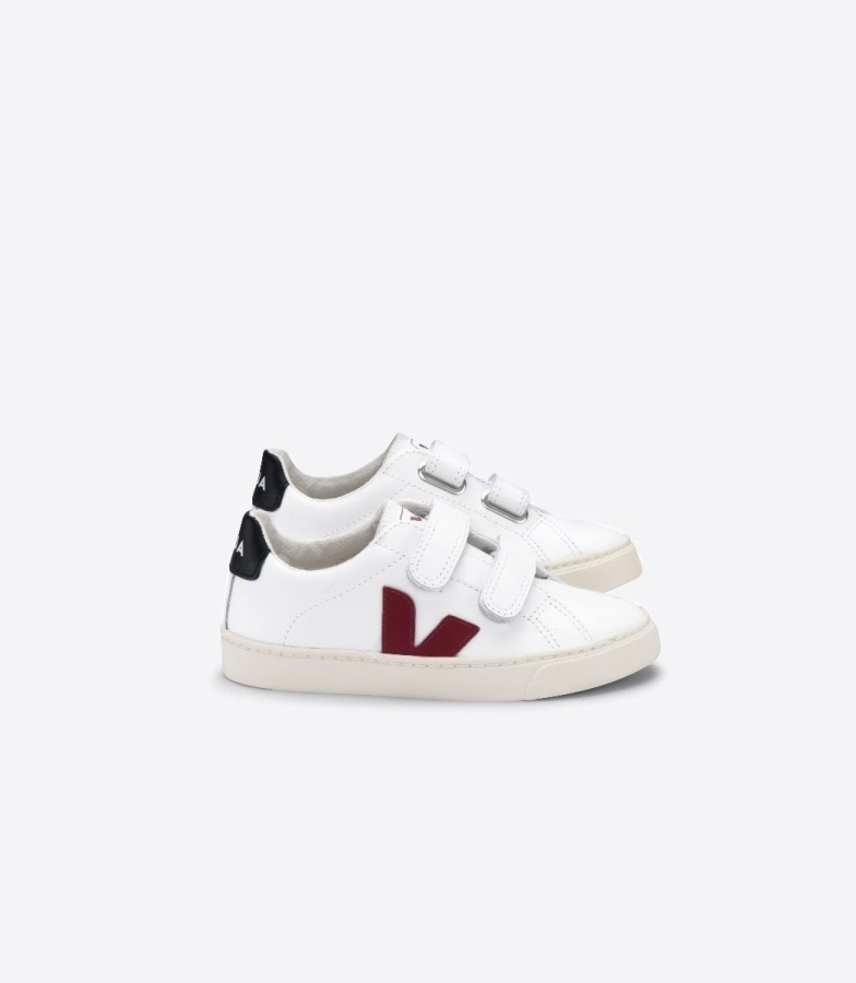 Roraima white marsala on sale