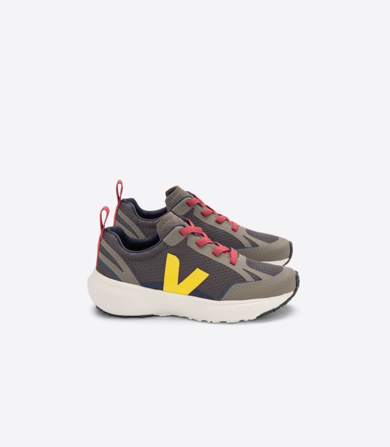 Special Veja Elastic Laces Alveomesh Grafite Tonic