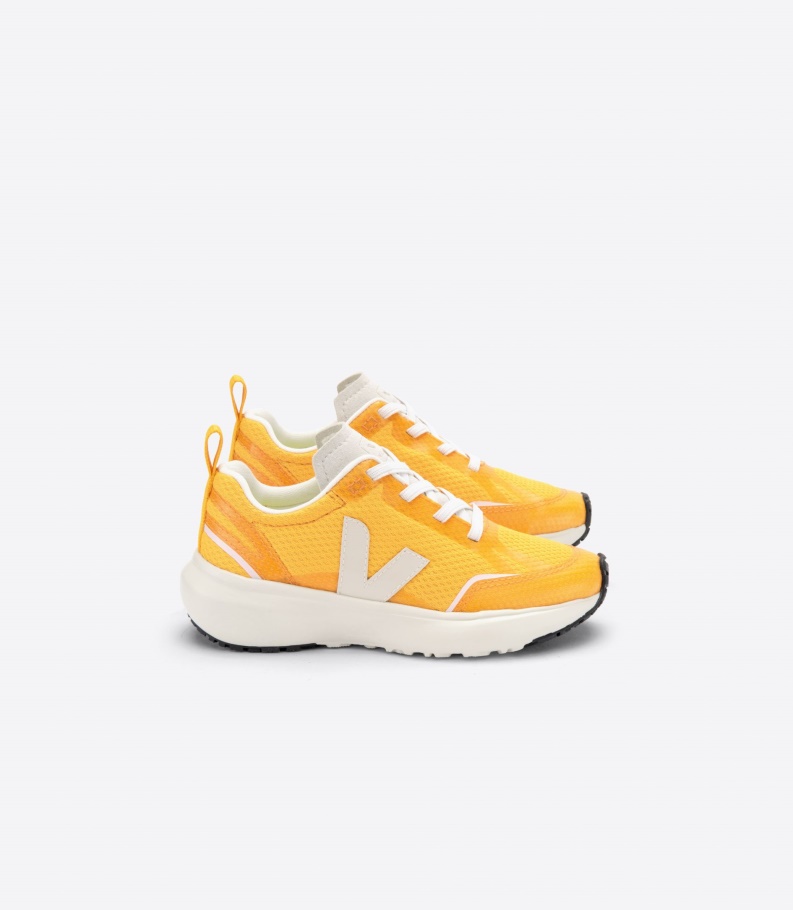 Veja Elastic Laces Alveomesh Ouro Pierre Perfect