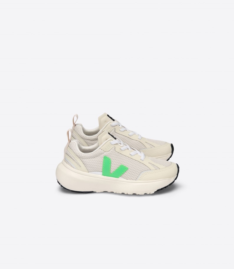 Elastic Lace Natural Absinthe Veja Series
